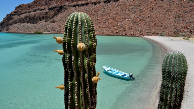 Baja California Links | AllAboutBaja.com